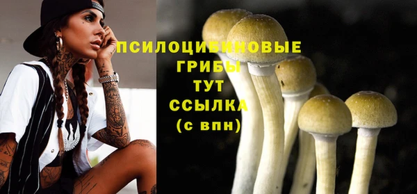 гидра Арсеньев