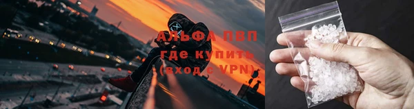гидра Арсеньев