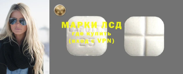 гидра Арсеньев