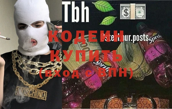 гидра Арсеньев