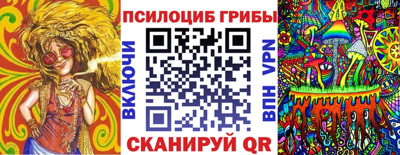 где купить наркоту Новодвинск shop какой сайт Псилоцибиновые грибы мухоморы